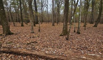 001 CR 532, Avalon, MS 38917