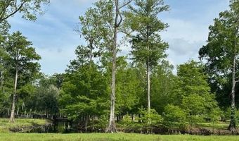 TBD CORKWOOD LANE, Astatula, FL 34705