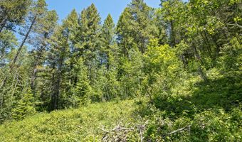LOT 22 TRAIL RIDGE ROAD, Alpine, WY 83128