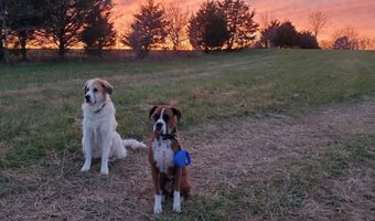 4775 S 50th Rd, Aldrich, MO 65601