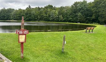 47 HOLIDAY Dr, Albrightsville, PA 18210