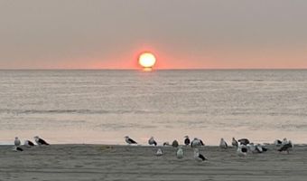 709 Ocean Ave N 8, Avon By The Sea, NJ 07717