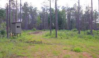 Hwy 9, Bruce, MS 38915