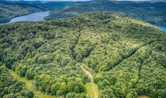1 BROWER HILL Rd, Andes, NY 13431