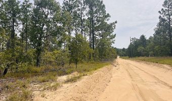 375 Village Ln, Mauk, GA 31058