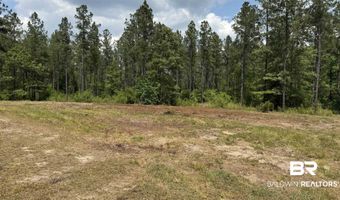 Ronald Sanks Road, Bay Minette, AL 36507