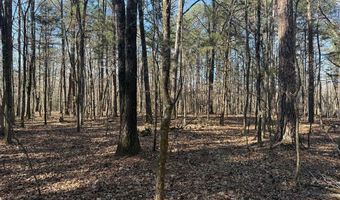 Cr 127, Abbeville, MS 38601