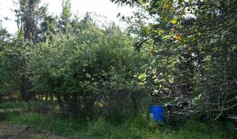 9537 LAKEVIEW Rd, Alanson, MI 49706