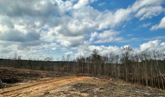 88 County Road 5345, Baldwyn, MS 38824