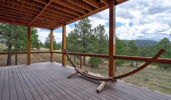 21 Torrey Pines Ln, Angel Fire, NM 87710