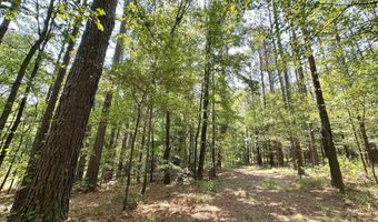 3 Champion Hill Rd, Bolton, MS 39041