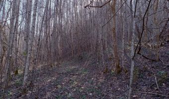 Toole Creek Road, Abingdon, VA 24210