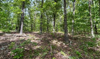 County Road 544, Bakersfield, MO 65609