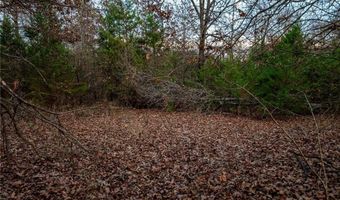 Tract 1 Acme Rd, Asher, OK 74826