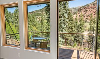 768 Kings Lake Rd, Basalt, CO 81621