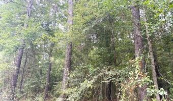 000 Highway 615 Hwy, Haynesville, LA 71038