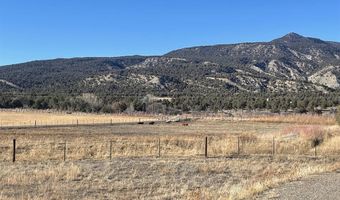 940 CR 973, Arboles, CO 81121