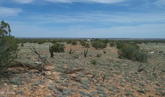 98 N9222, Concho, AZ 85924
