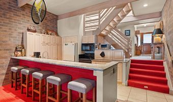 625 S West End St 12, Aspen, CO 81611