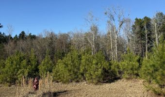 191 Magnolia Estates Dr, Alexander City, AL 35010