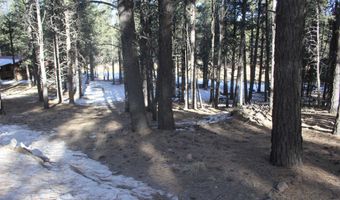 Lot 608 Via Del Rey, Angel Fire, NM 87710