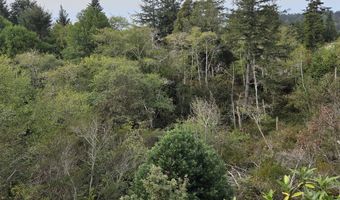 96420 ALDER RIDGE Rd, Brookings, OR 97415