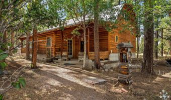 22 CR 2082, Alpine, AZ 85920