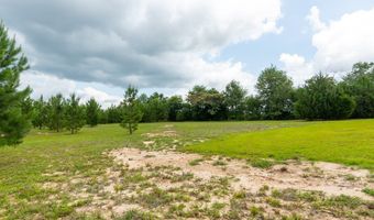 97 Eudon Best Rd, Ashford, AL 36312