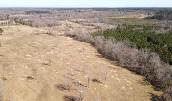 tbd 54.89 Acres N Hwy 53, Arkadelphia, AR 71923