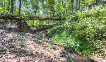 1393 Woodland Mountain Trl, Augusta, WV 26704