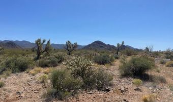 6 E Allison Dr, Yucca, AZ 86438