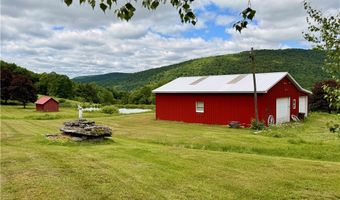 240 Dowie Rd, Andes, NY 13731