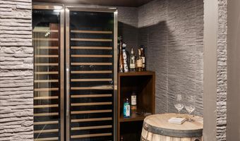 75 Bennett Ct, Aspen, CO 81611