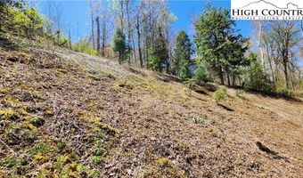31 32 Running Bear Cir, Banner Elk, NC 28604