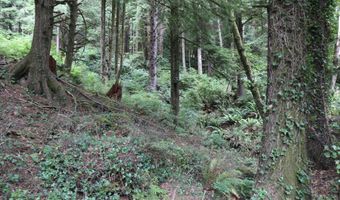 Picture Windw Lane, Arch Cape, OR 97102