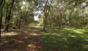 15422 SW 50TH Ave, Archer, FL 32618