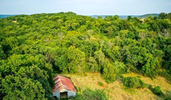 21814 State Hwy 248, Aurora, MO 65605