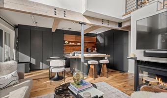 1024 E Cooper Ave 1, Aspen, CO 81611