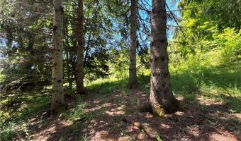 2636 Murphy Hill Rd, Andes, NY 13731