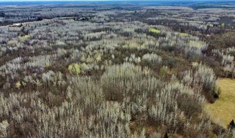 63994 Osprey Ave, Aitkin, MN 55785