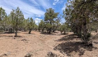 160 Cedar Dr, Arboles, CO 81121