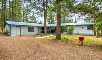 50 County Rd 2271, Alpine, AZ 85920