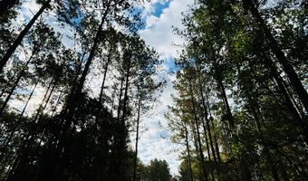 644 Ash-Harrel Loop, Abbeville, GA 31001