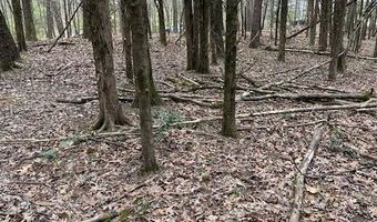 907 Stephanie Ln, Athens, TN 37303