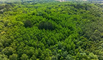 21169 Firefly Trl, Akeley, MN 56433