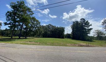 20 George Mitchell Rd, Carriere, MS 39426