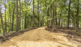 NELLS KNOB Cv, Bath Springs, TN 38311