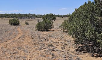ACR N8388 and N8385, Concho, AZ 85924