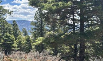 Lots 16 Lot17 Palo Flechado Ridge Road, Angel Fire, NM 87710