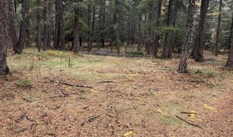 13150 E BUNCO Rd, Athol, ID 83801